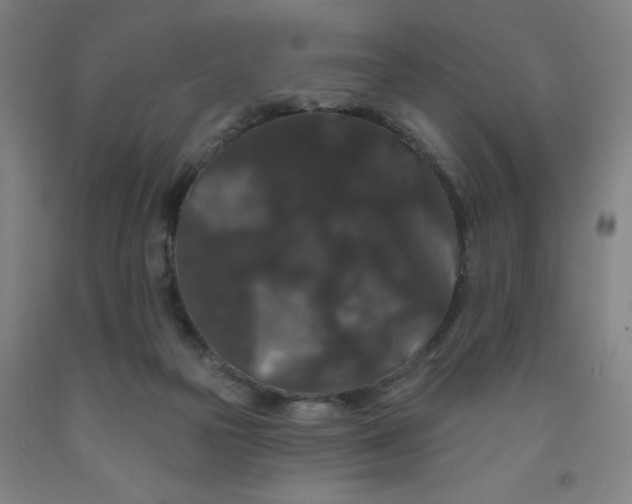 X0000091950169200709271333