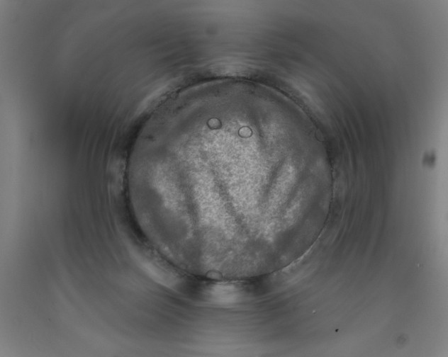 X0000091950171200709271333