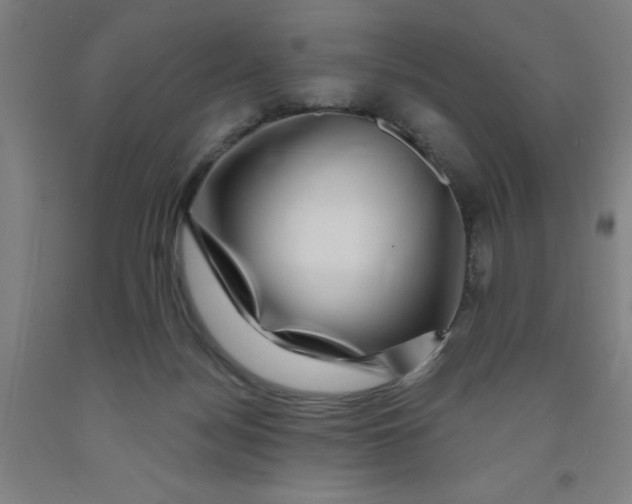 X0000091950172200709271333