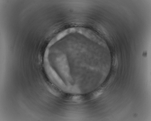 X0000091950173200709271333