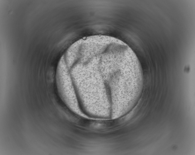 X0000091950174200709271333