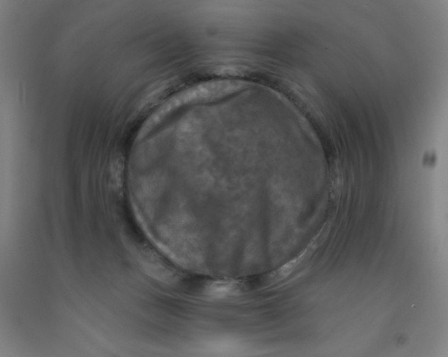 X0000091950175200709271333