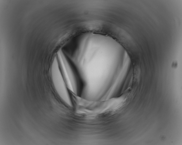 X0000091950176200709271333