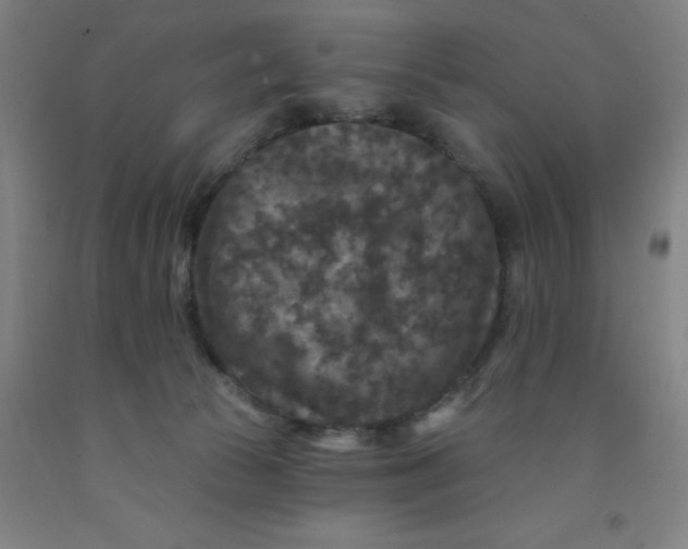 X0000091950177200709271333