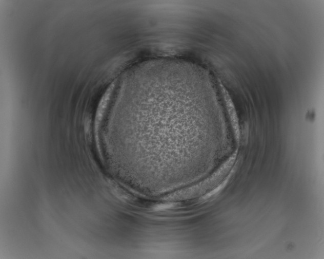 X0000091950178200709271333