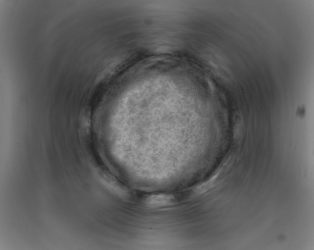 X0000091950179200709271333