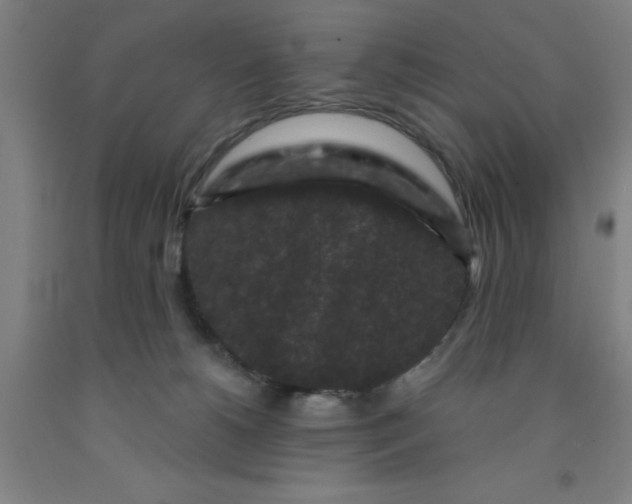 X0000091950180200709271333