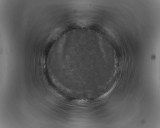 X0000091950182200709271333