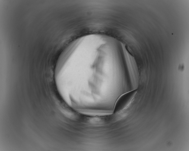 X0000091950183200709271333