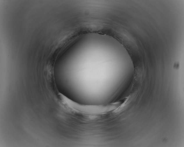 X0000091950184200709271333