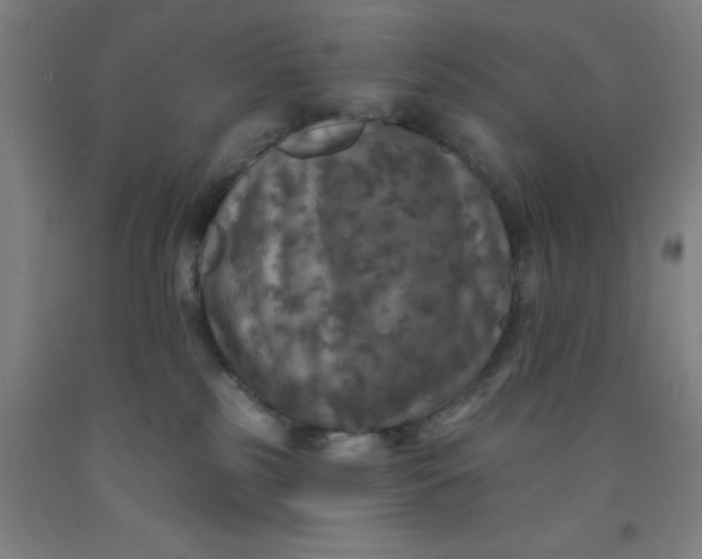 X0000091950185200709271333