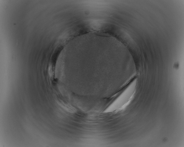 X0000091950186200709271333