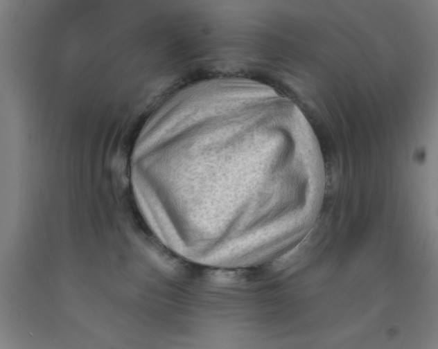 X0000091950187200709271333