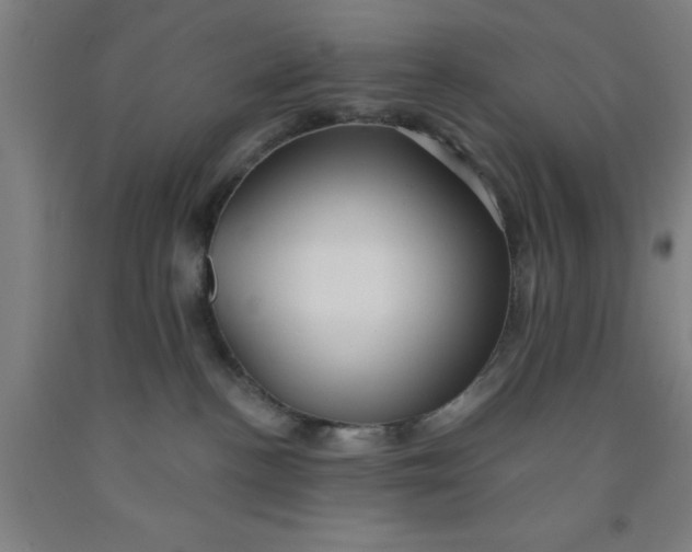 X0000091950188200709271333