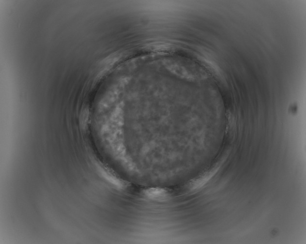 X0000091950189200709271333