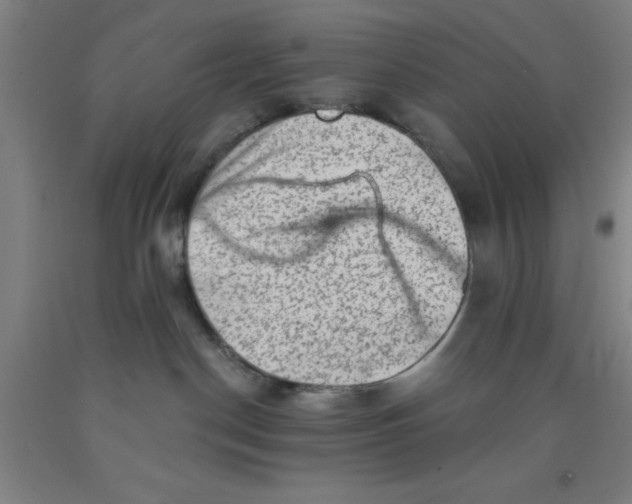 X0000091950190200709271333