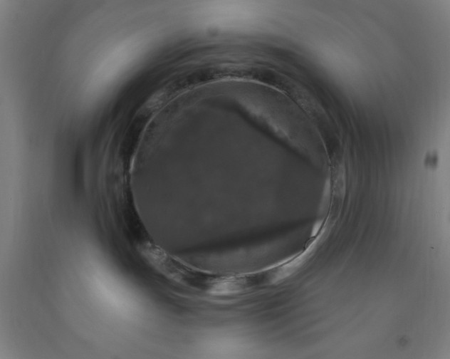 X0000091950191200709271333