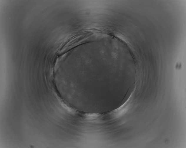 X0000091950192200709271333