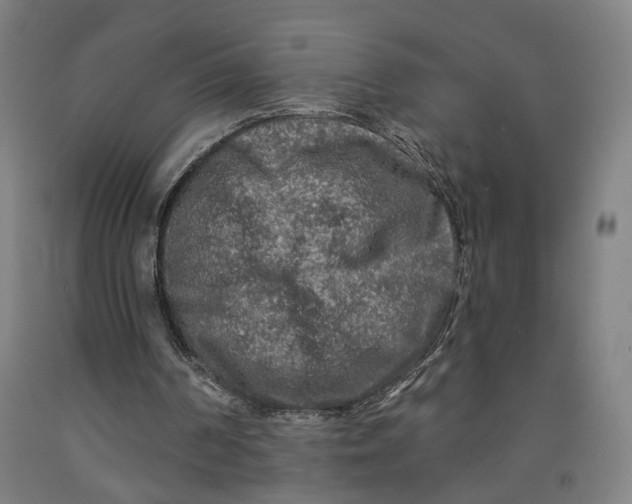 X0000091950194200709271332