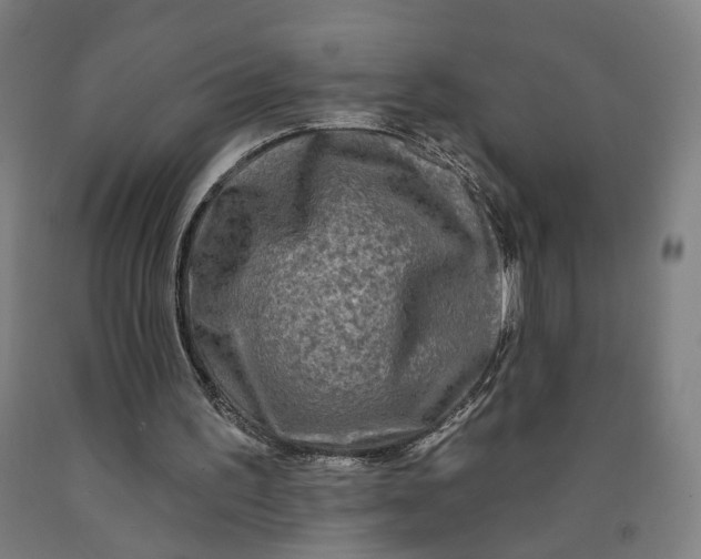 X0000091950195200709271332