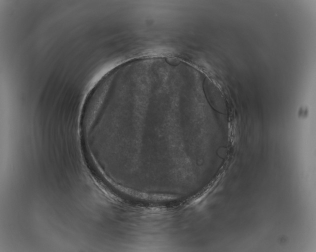 X0000091950196200709271332