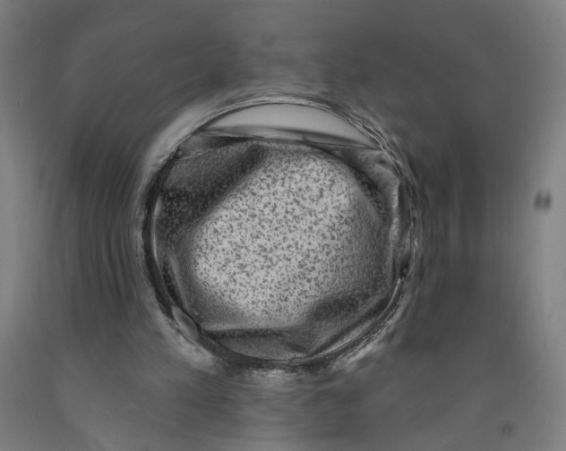 X0000091950197200709271332