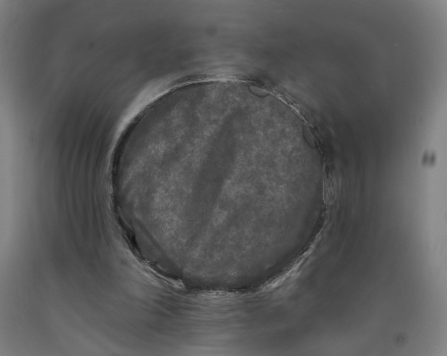 X0000091950198200709271332