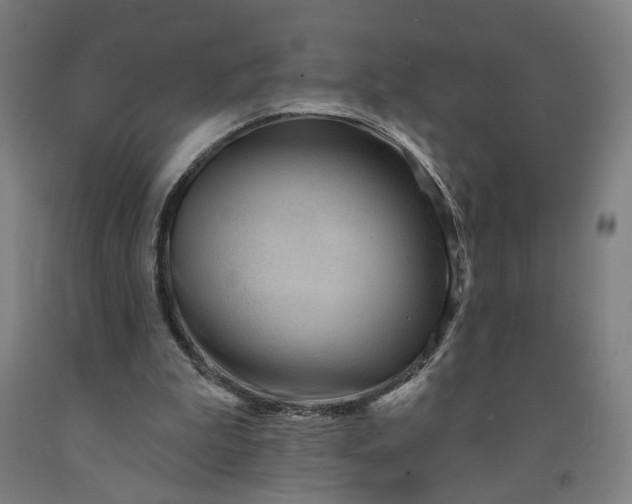 X0000091950199200709271332