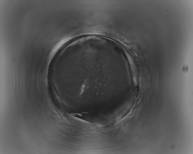 X0000091950200200709271332