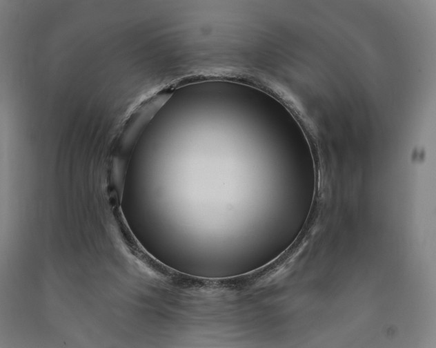 X0000091950201200709271332