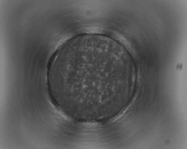 X0000091950202200709271332