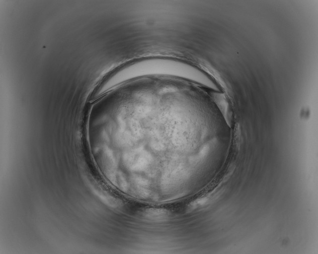 X0000091950203200709271332