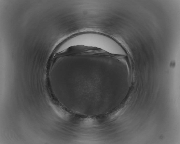 X0000091950204200709271332