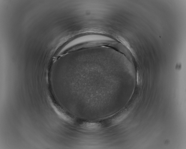 X0000091950205200709271332