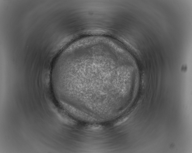 X0000091950206200709271332