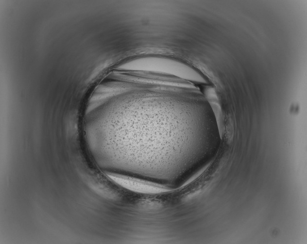 X0000091950207200709271332