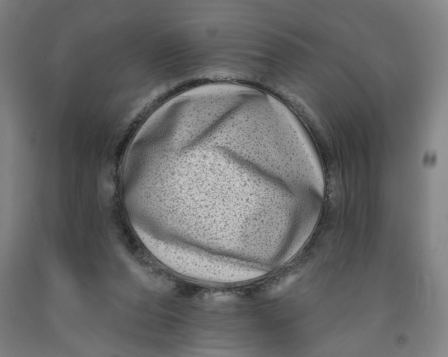 X0000091950208200709271332