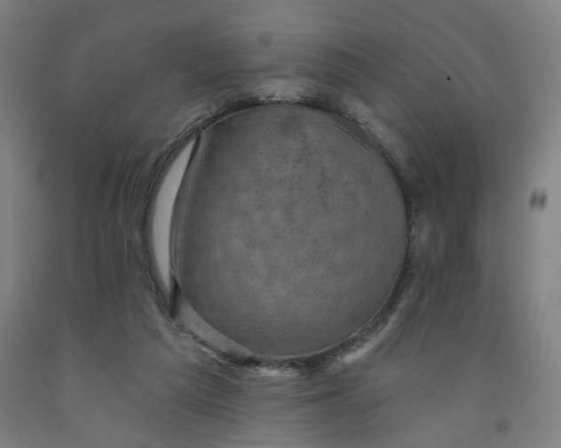 X0000091950209200709271332