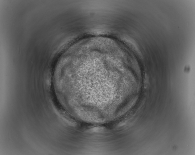 X0000091950210200709271332