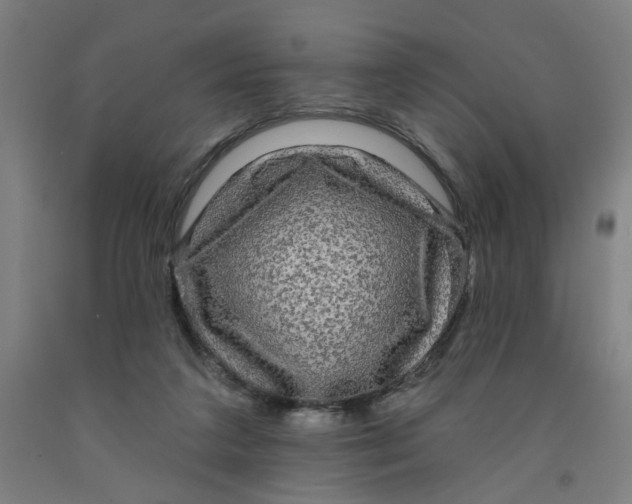 X0000091950211200709271332