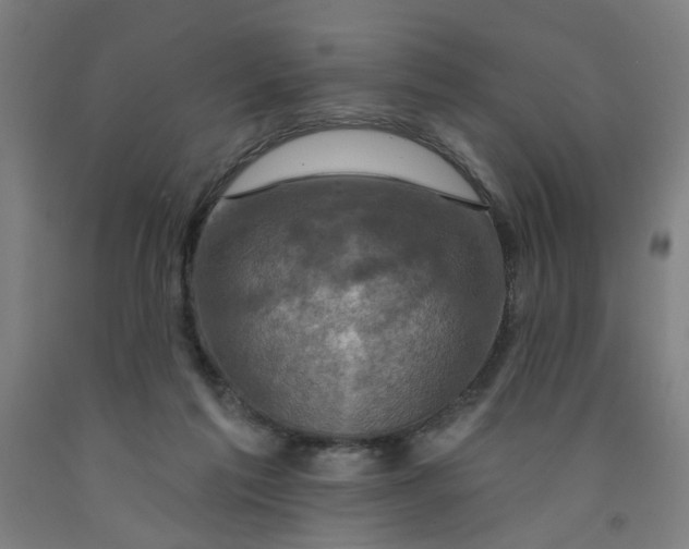 X0000091950213200709271332