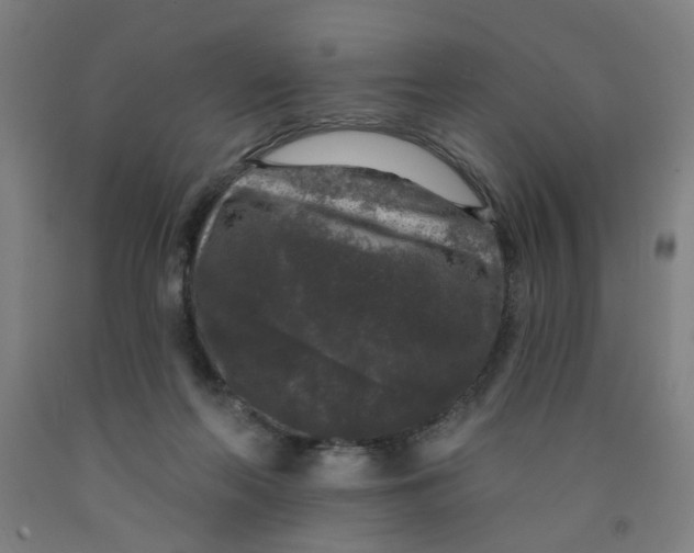 X0000091950214200709271332