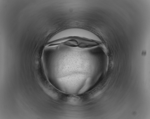 X0000091950215200709271332