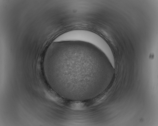 X0000091950217200709271332