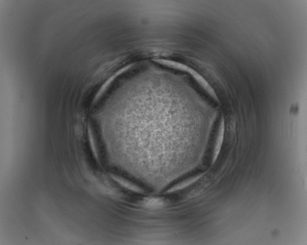 X0000091950218200709271332