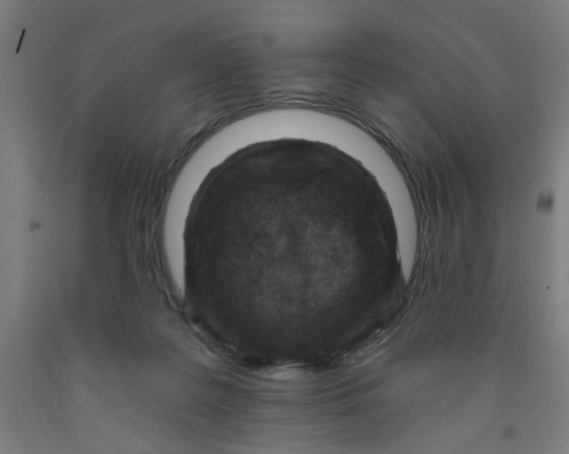 X0000091950219200709271332