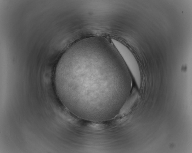 X0000091950221200709271332