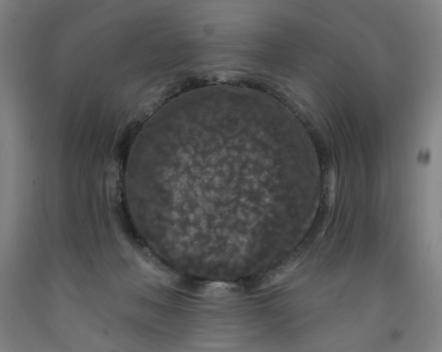 X0000091950222200709271332