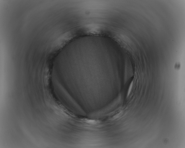 X0000091950223200709271332