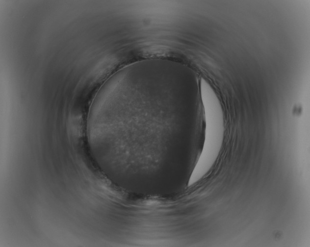 X0000091950224200709271332